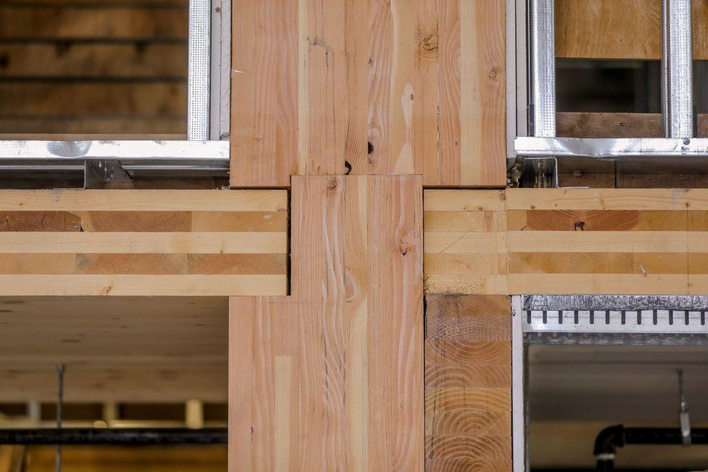 Vertical wood beams connect with horizontal Cross Laminated Timber (CLT) to form the ceiling of the first floor of the Heartwood housing in Seattle, Washington.