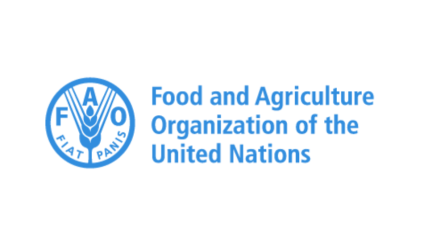 World Food Prices Dip in December Still up in 2025, UN’s FAO Says