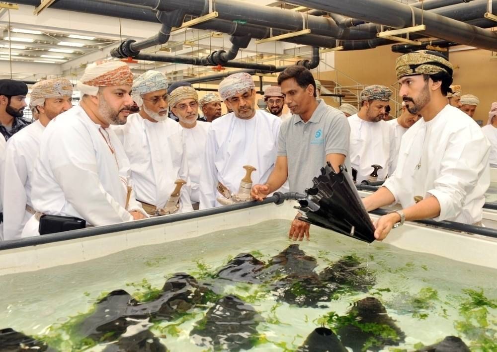 Oman seeks investors for 11 food projects