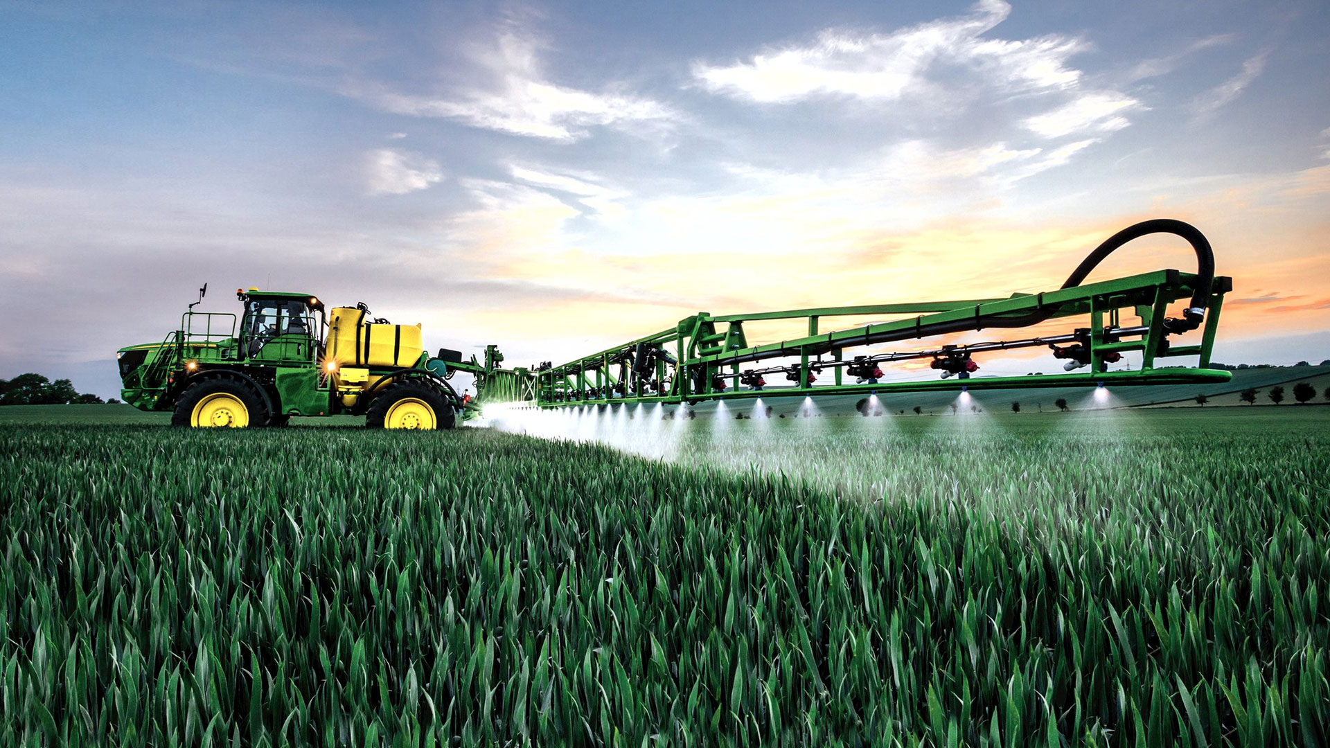 Campaigners call for ban use fo weedkiller glyphosate at harvest time